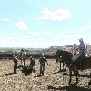 Meet your Posher, Cassandra